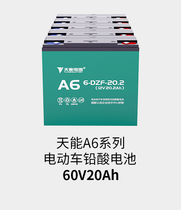 尊龙凯时电池60v20ah